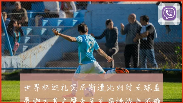 世界杯巡礼突尼斯遭比利时五球羞辱迦太基之鹰未来充满挑战与不确定性