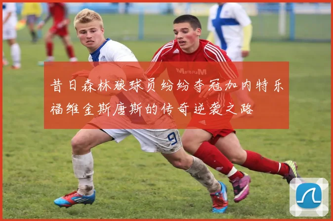 昔日森林狼球员纷纷夺冠加内特乐福维金斯唐斯的传奇逆袭之路