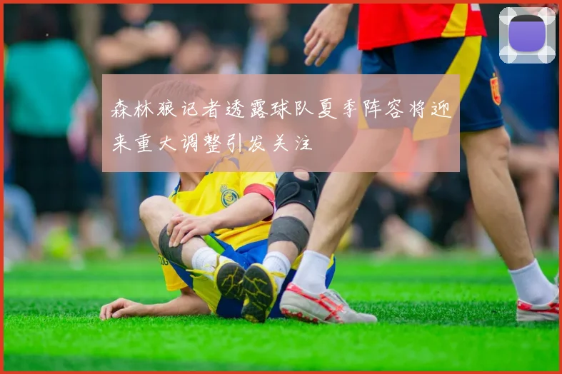 森林狼记者透露球队夏季阵容将迎来重大调整引发关注